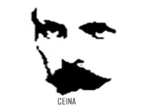 Lee más sobre el artículo CENTRO DE ESTUDIOS INTERDISCIPLINARIOS SOBRE NUETRAMÉRICA “JOSÉ MARTÍ” (CEINA)