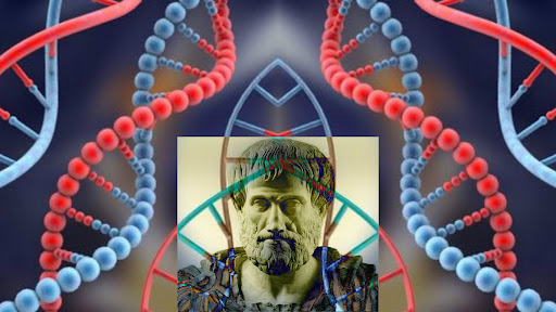 Lee más sobre el artículo CENTRO DE INVESTIGACIONES BIOÉTICAS